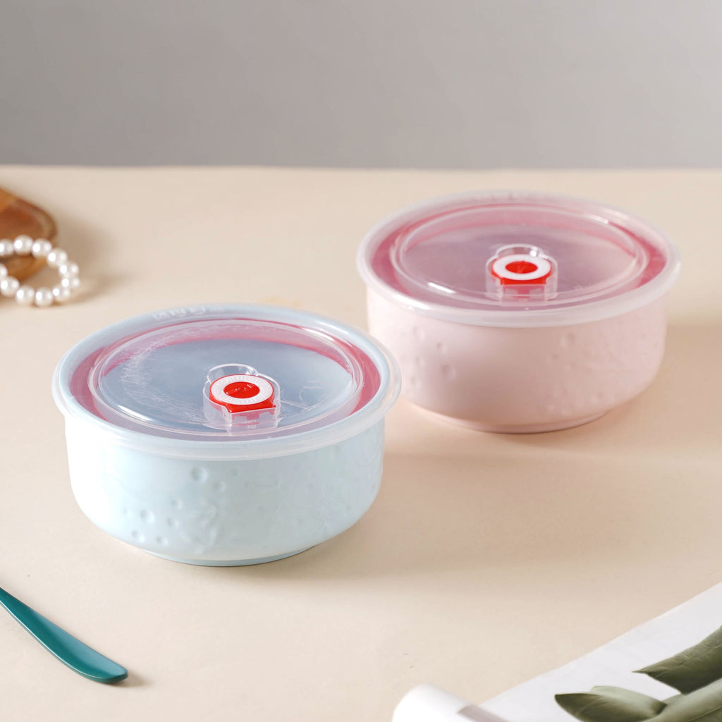 Lunch Bowl With Lid Nestasia