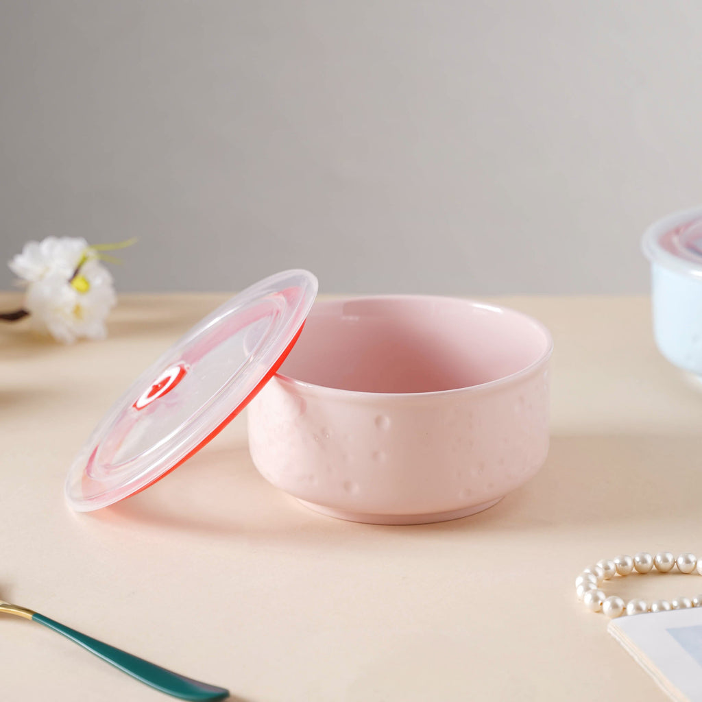 Lunch Bowl With Lid Nestasia