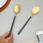 Stainless Steel Spoon Set of 2 Nestasia