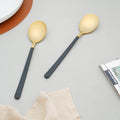Stainless Steel Spoon Set of 2 Nestasia
