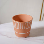 Bonsai Plant Pot Nestasia
