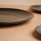 Onyx Finish Stoneware Dinner Plate Black 9.8 Inch Nestasia