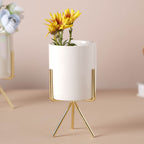 Porcelain Plant Pot Nestasia