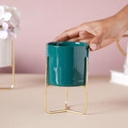 Flowering Clay Pot with Stand Nestasia