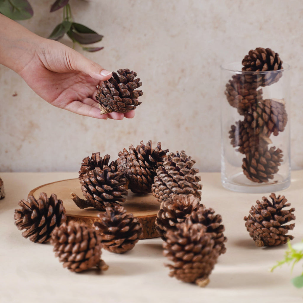 Decorative Cones Nestasia