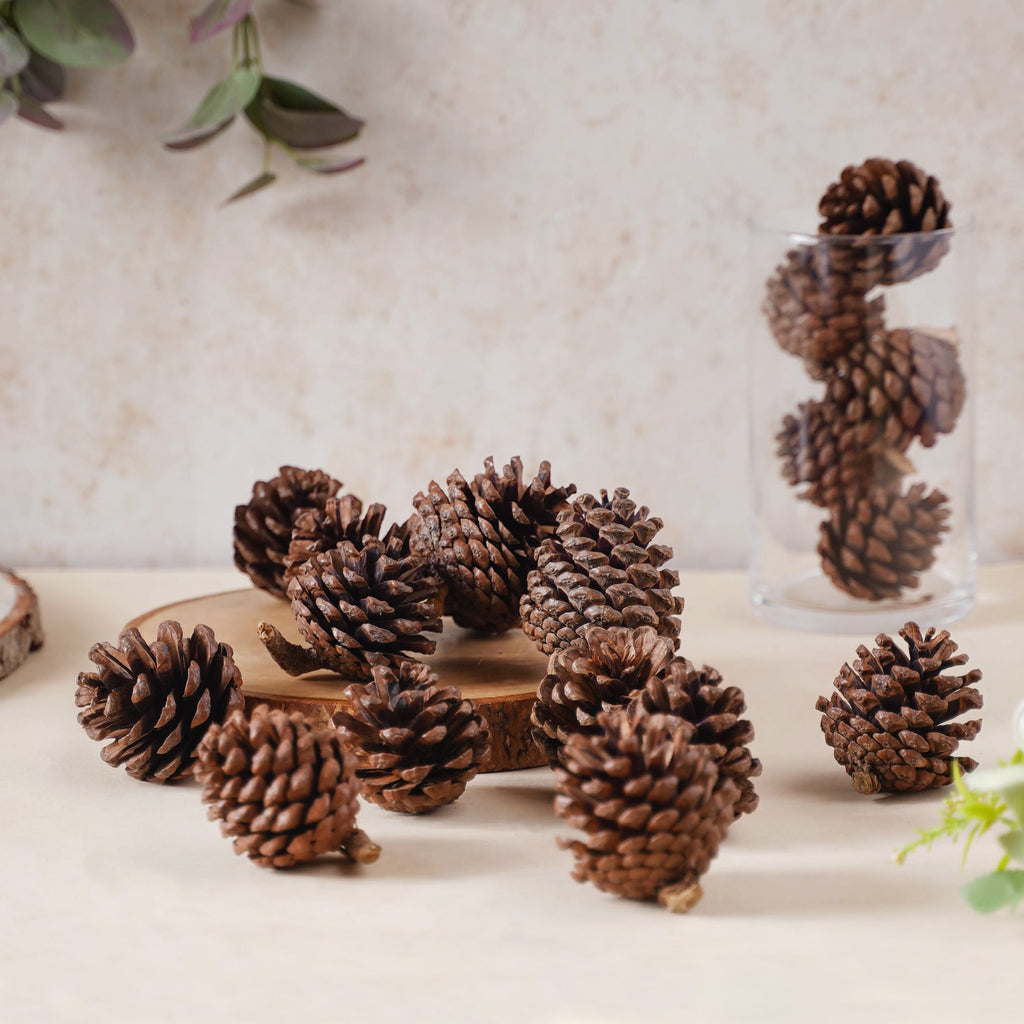 Decorative Cones Nestasia