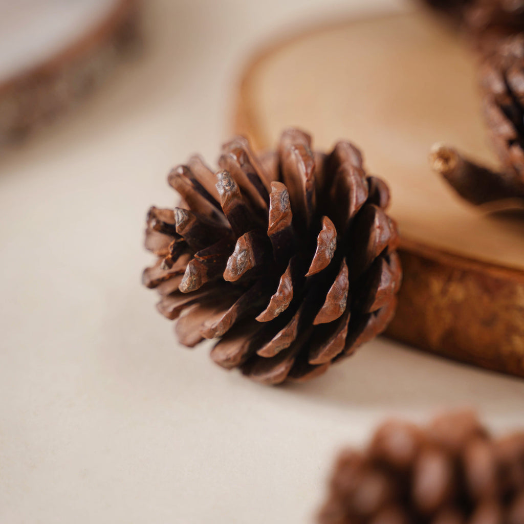Decorative Cones Nestasia