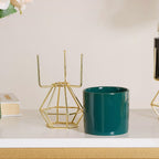 Designed Stand Cylindrical Pot Nestasia