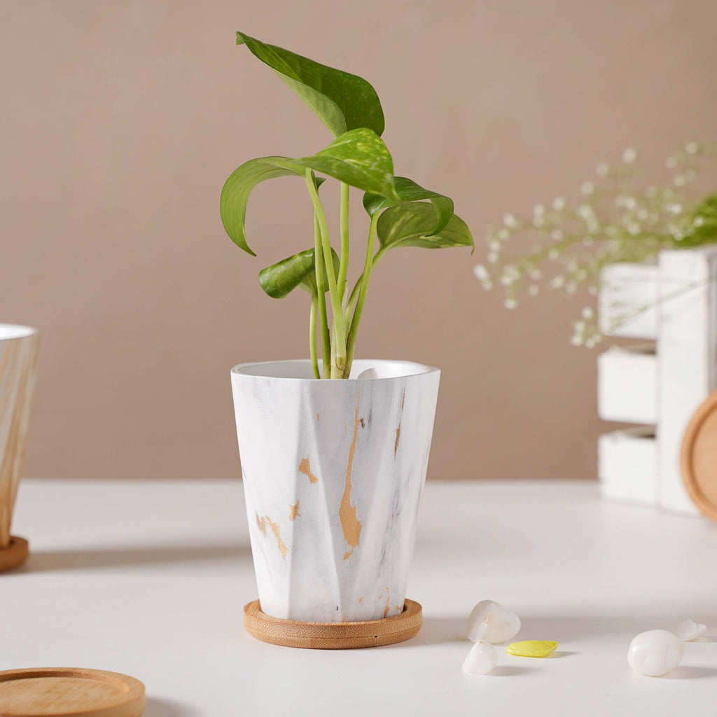 Carrara Elegant Brown Planter With Coaster Nestasia