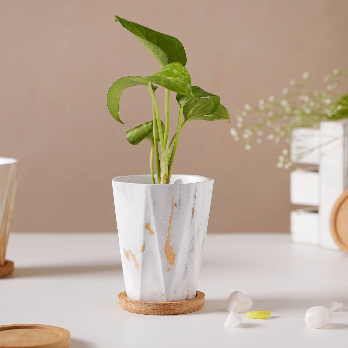 Carrara Elegant Brown Planter With Coaster Nestasia