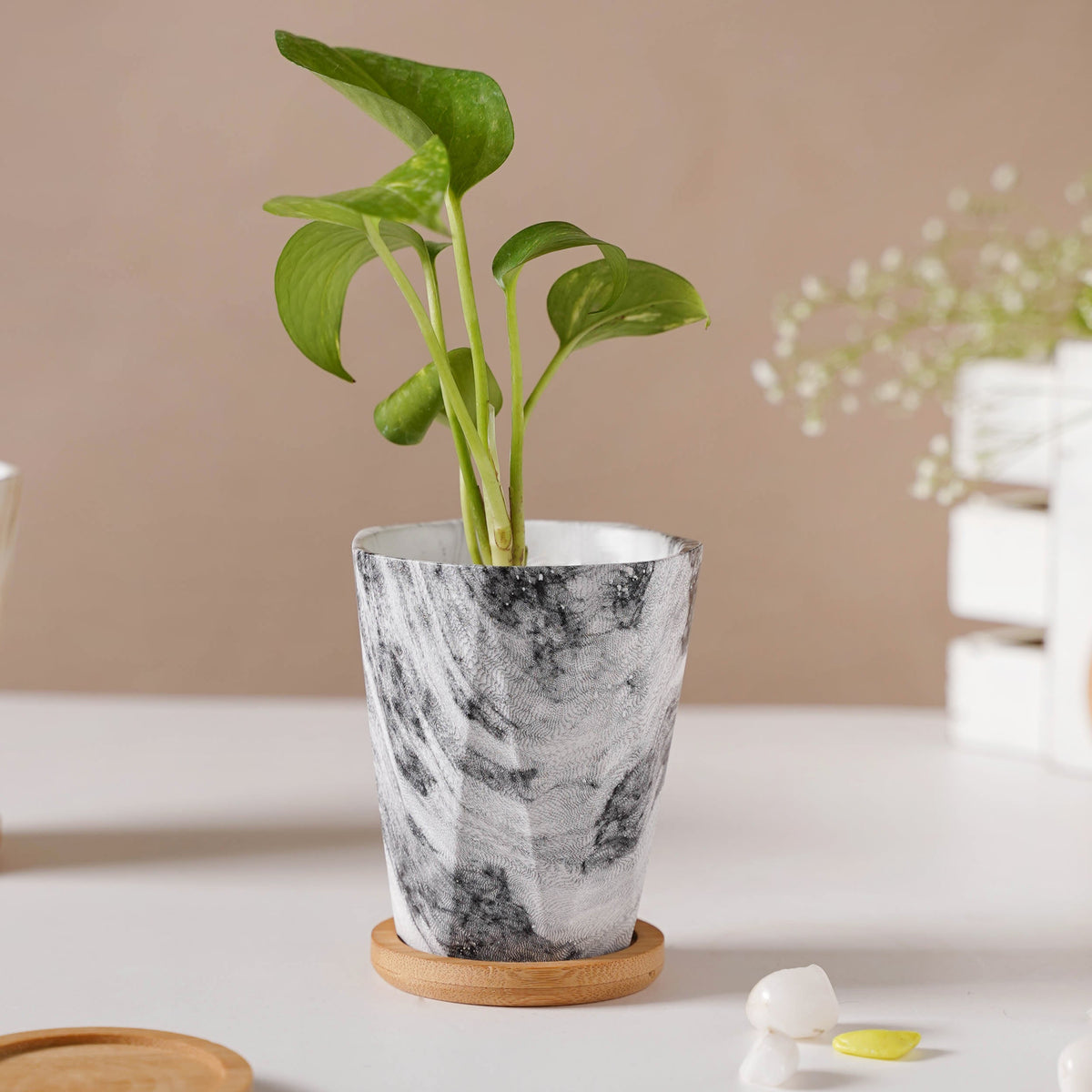 Carrara Charcoal Planter With Coaster Nestasia