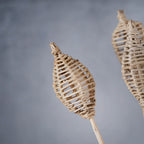 Decorative Stick For Vase Nestasia