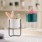 Porcelain Succulent Planters-Small Nestasia