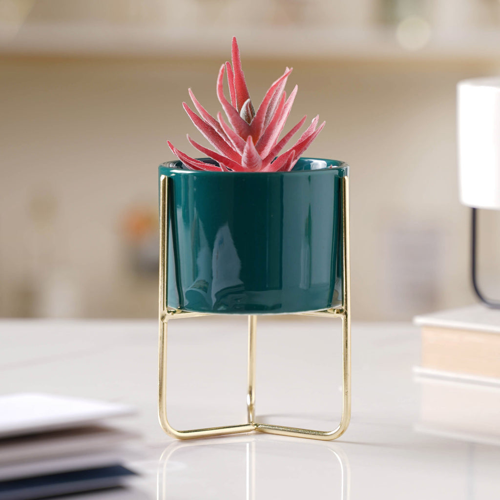 Porcelain Succulent Planters-Small Nestasia