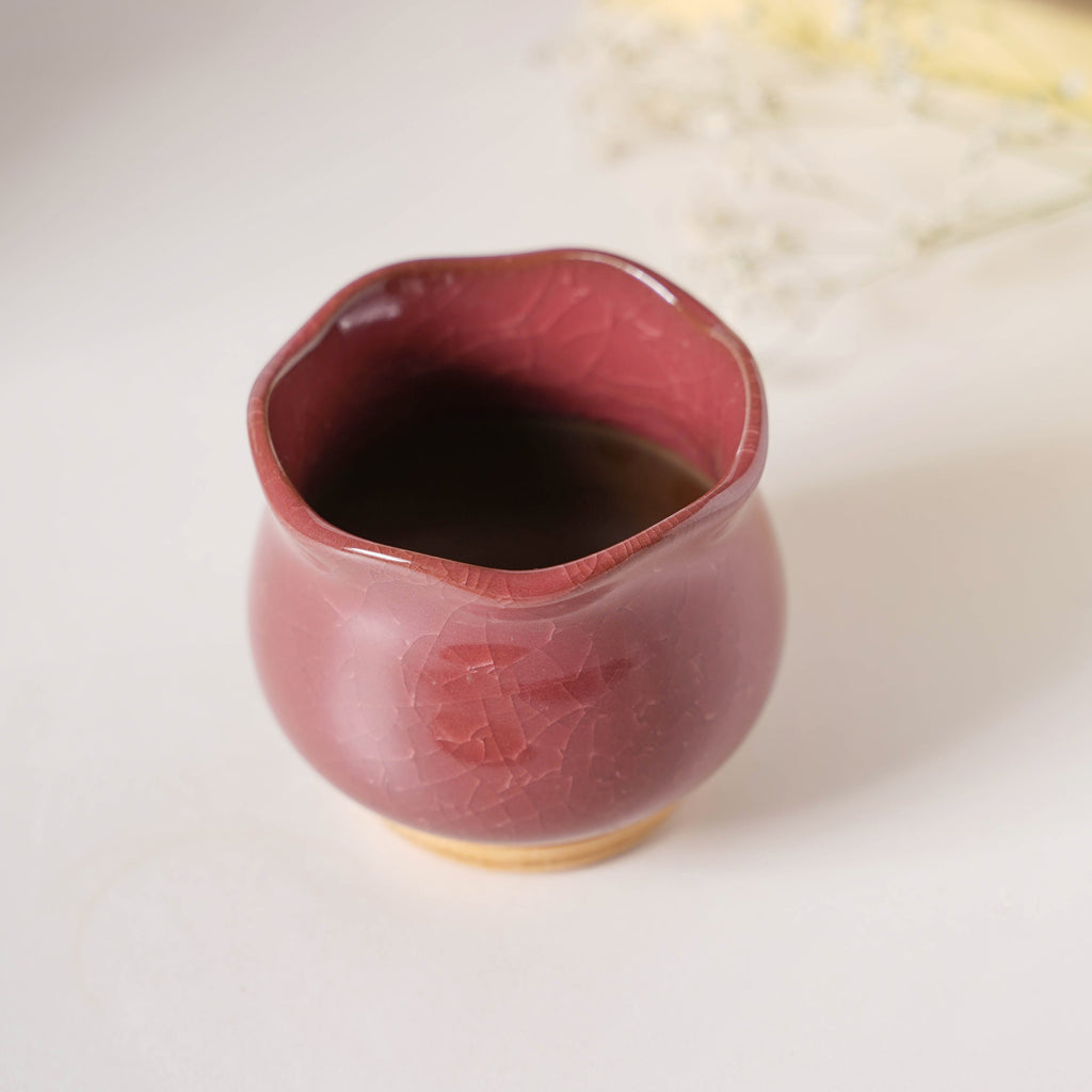 Botanica Brown Ceramic Planter With Coaster Nestasia