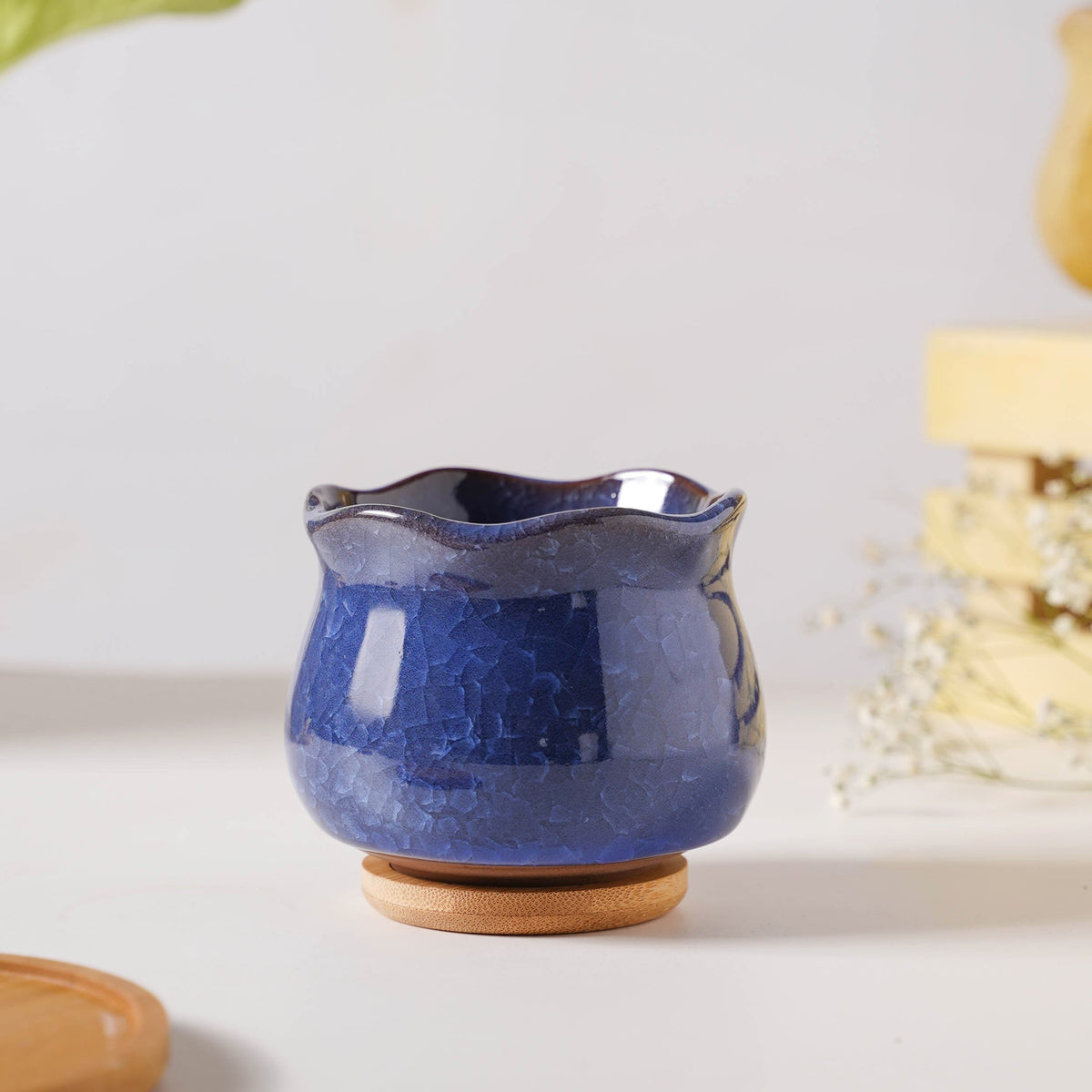 Botanica Azure Ceramic Planter With Coaster Nestasia