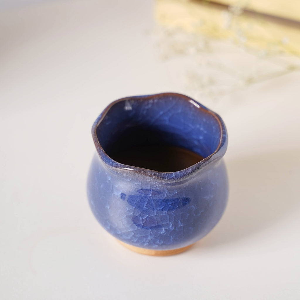 Botanica Azure Ceramic Planter With Coaster Nestasia