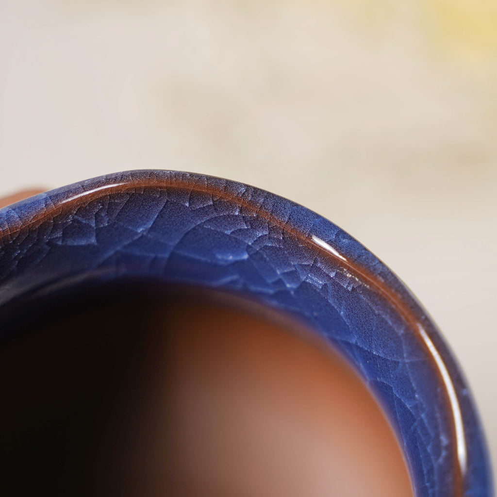 Botanica Azure Ceramic Planter With Coaster Nestasia
