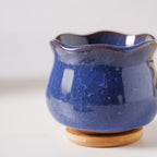 Botanica Azure Ceramic Planter With Coaster Nestasia