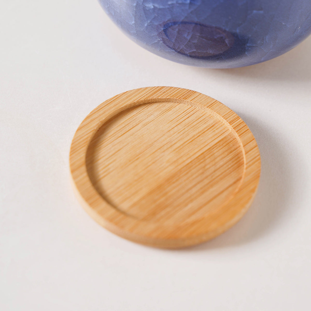 Botanica Azure Ceramic Planter With Coaster Nestasia