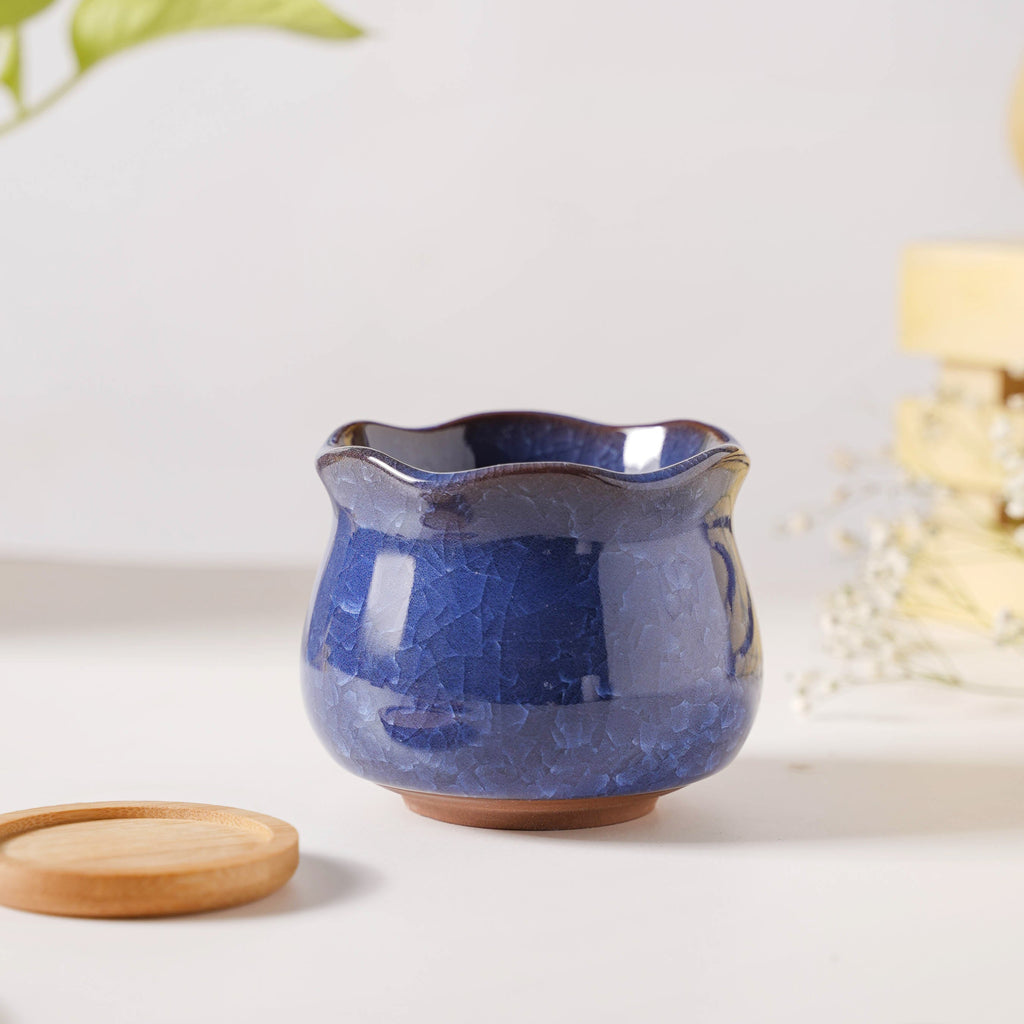 Botanica Azure Ceramic Planter With Coaster Nestasia
