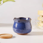Botanica Azure Ceramic Planter With Coaster Nestasia