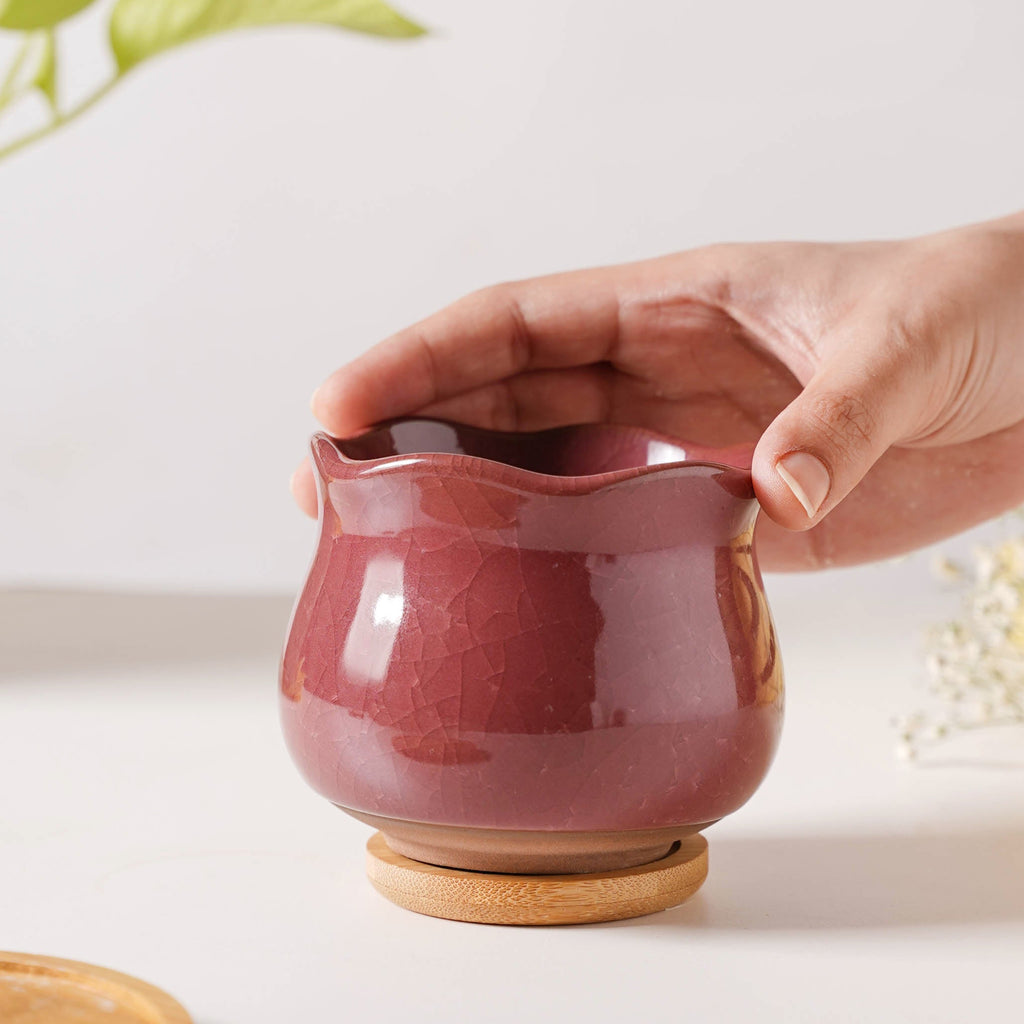 Botanica Brown Ceramic Planter With Coaster Nestasia