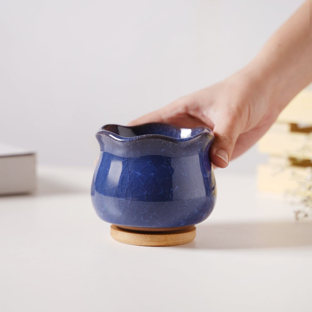 Botanica Azure Ceramic Planter With Coaster Nestasia