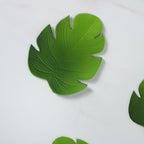Palm Leaf Coaster Set of 6 Nestasia
