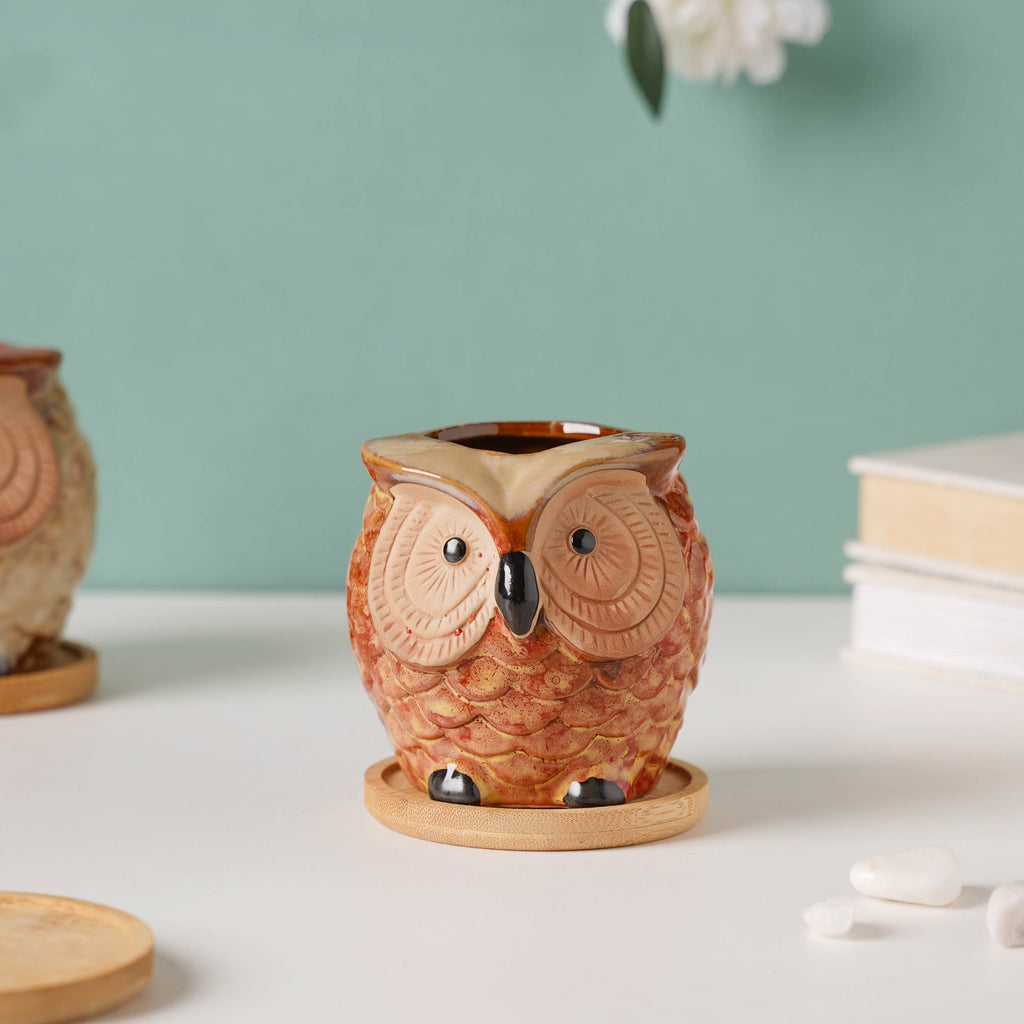 Orange Owl Ceramic Planter With Wooden Coaster Nestasia