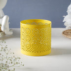 Festival Lantern Yellow Nestasia