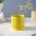 Festival Lantern Yellow Nestasia