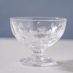 Dotty Glass Ice Cream Bowl Set of 2 Nestasia