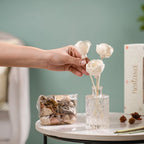 Lemongrass Shola Flowers Reed Diffuser Gift Set Of 3 Nestasia