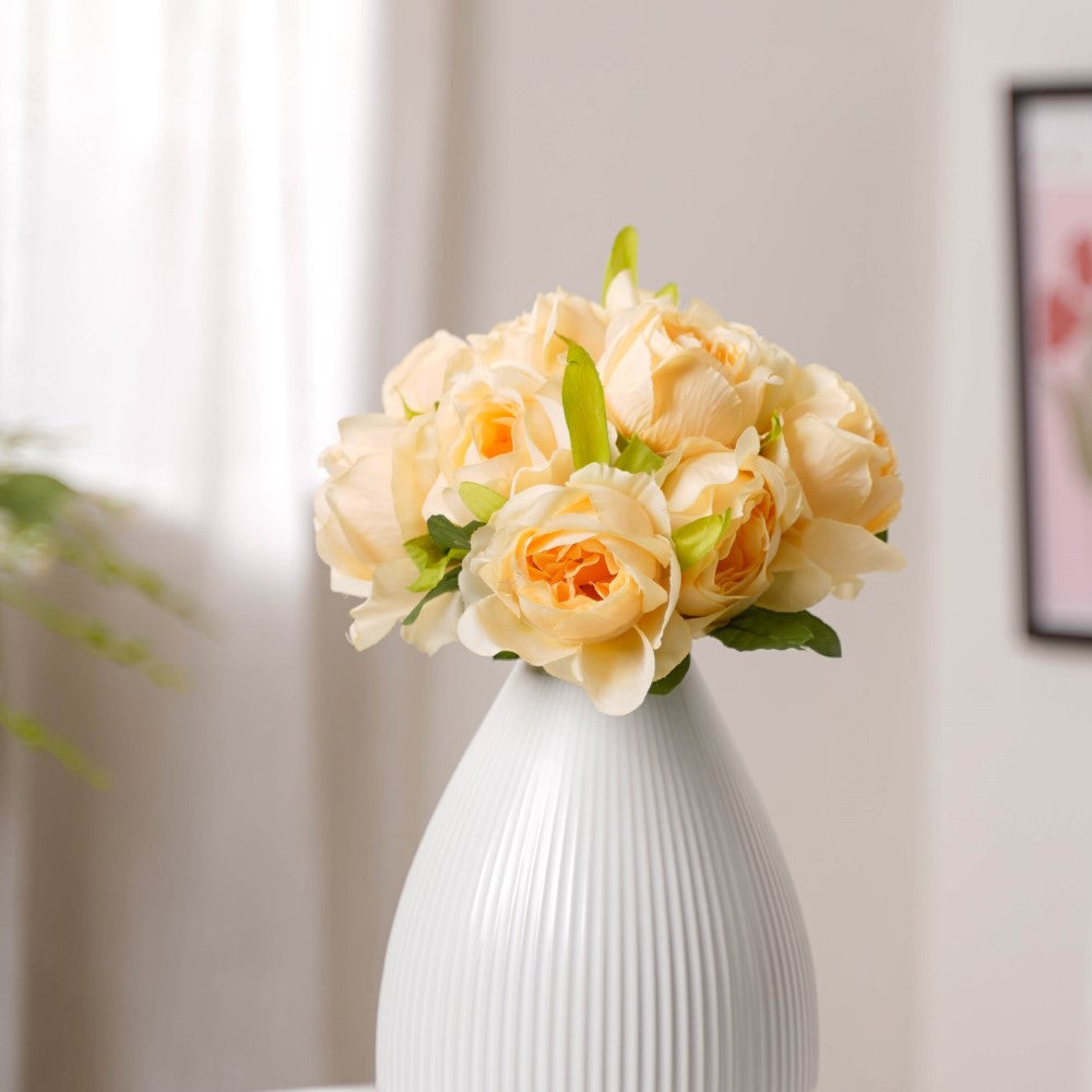 Aesthetic Roses Nestasia