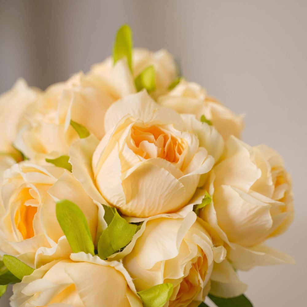 Aesthetic Roses Nestasia