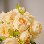 Aesthetic Roses Nestasia
