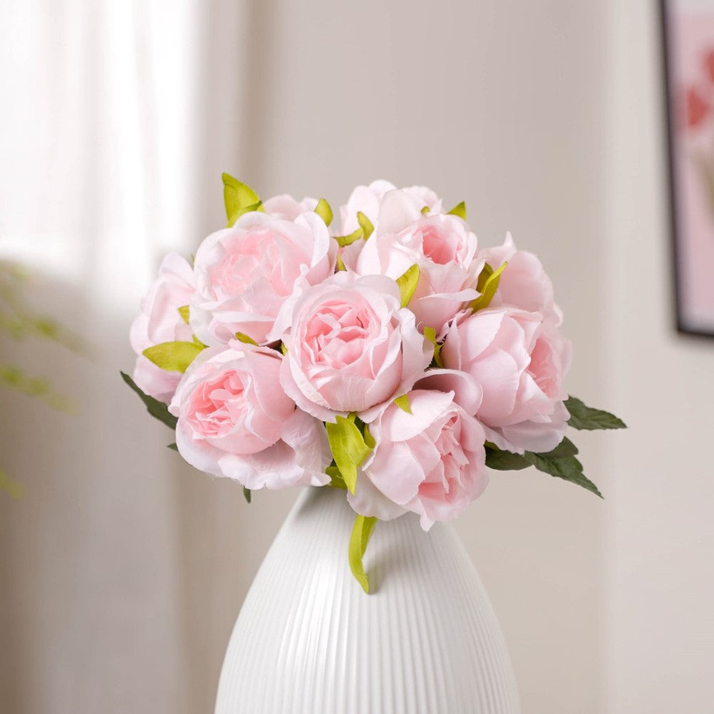 Aesthetic Roses Nestasia