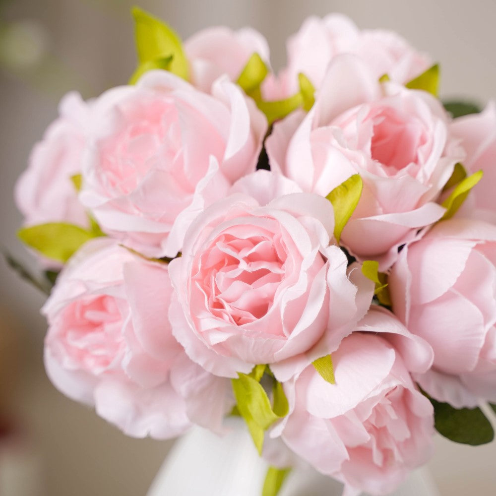 Aesthetic Roses Nestasia