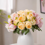 Aesthetic Roses Nestasia