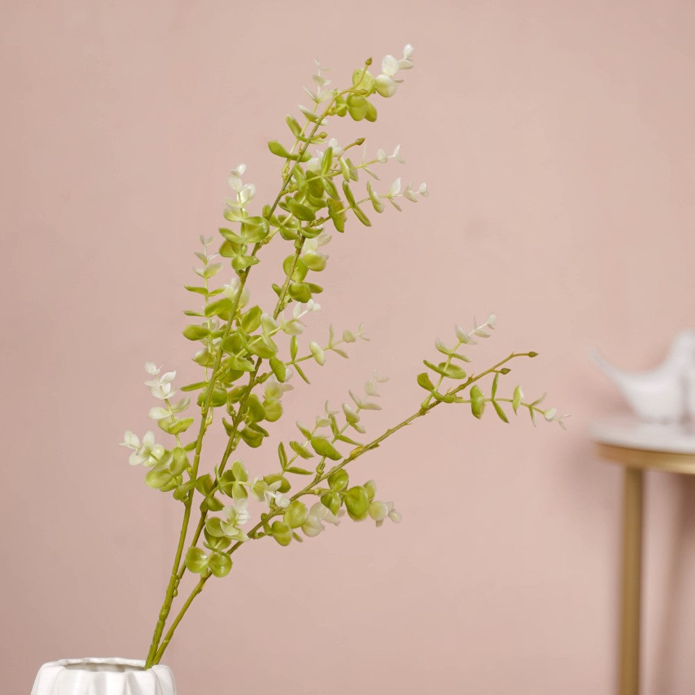 Imitation Leaves Nestasia