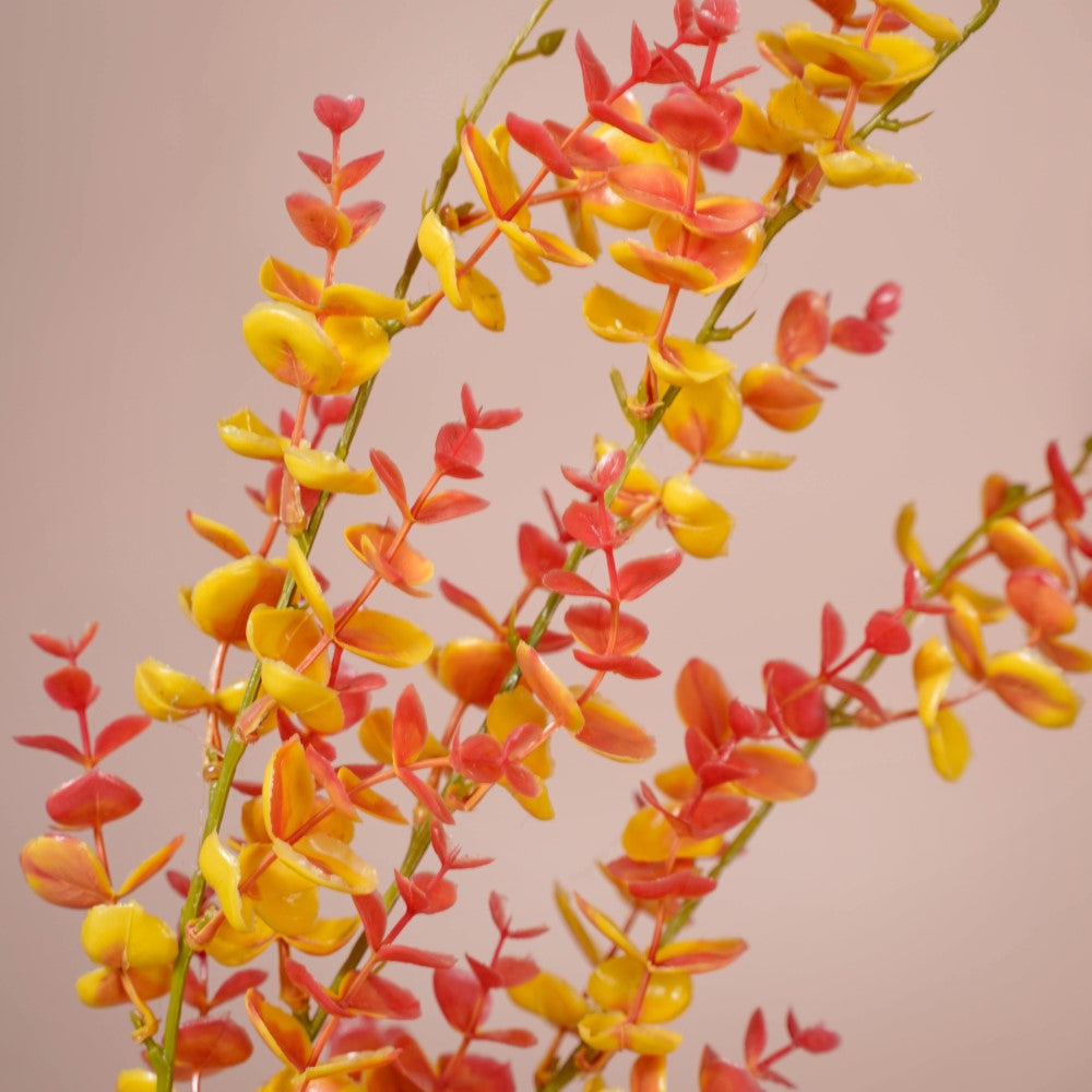 Imitation Leaves Nestasia
