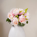 Aesthetic Roses Nestasia