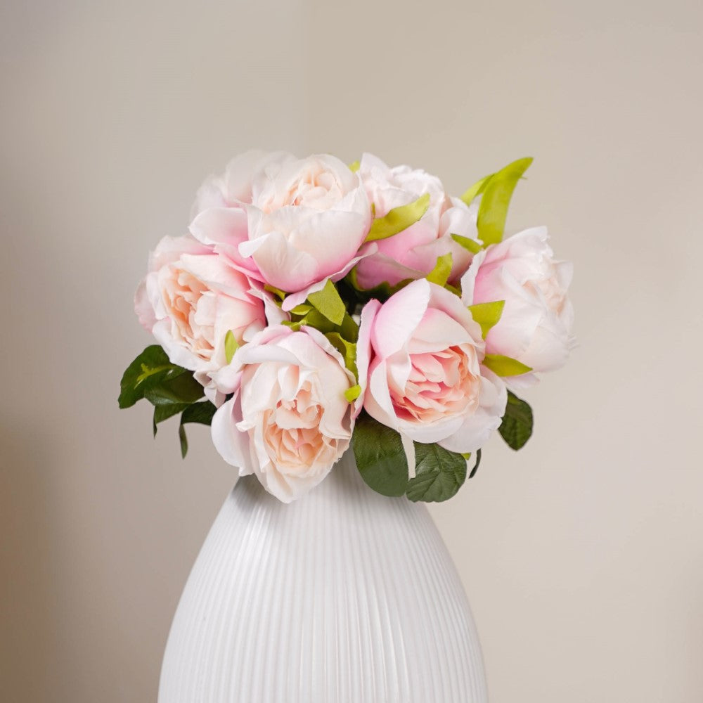 Aesthetic Roses Nestasia
