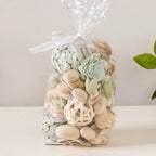 Botanical Rakhi Gifts Set Of 4 Nestasia