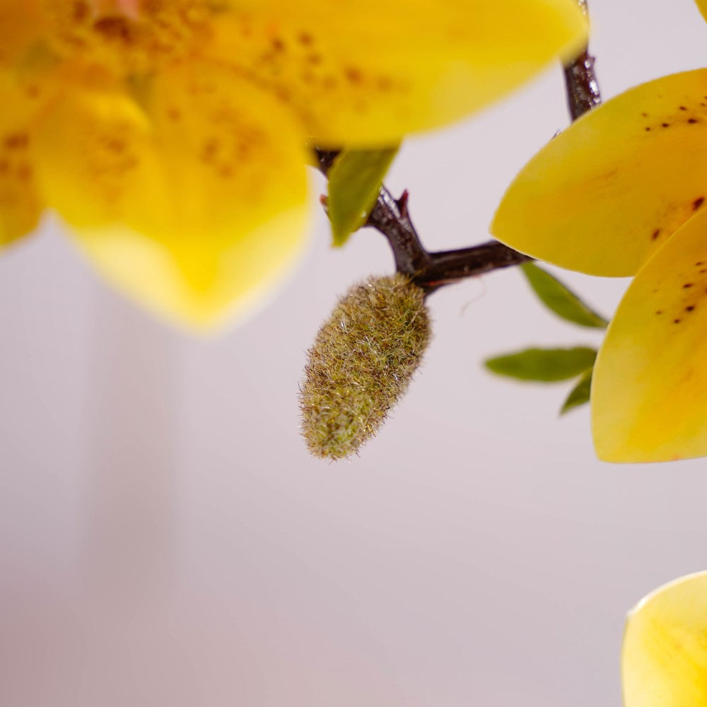 Decorative Lily Flower Stem Yellow Nestasia