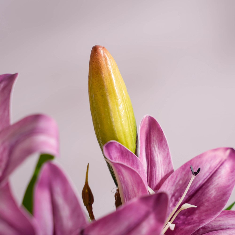 Decorative Lily Branch Purple Set Of 2