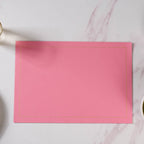 Leather Placemat Set of 2 Nestasia