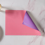 Leather Placemat Set of 2 Nestasia
