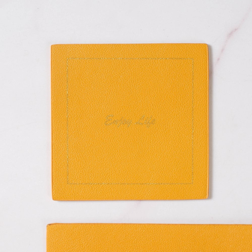 Leather Placemat And Coaster Set of 2 Nestasia